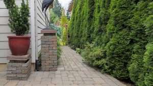 Patios & Walkways Bloomfield NJ